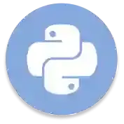 python image